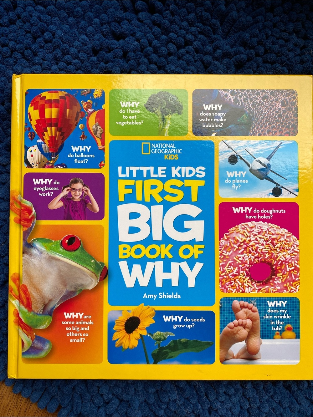 National Geographic Kids Little Kids First Big Book of Why